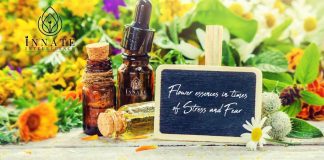 Flower Essences in Times of Stress and Fear Bottles of flower essence remedies placed among blooming flowers
