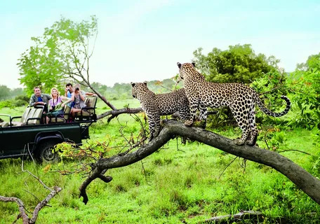 Okavango Delta Safari