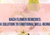 Bach Flower Remedies Bottles of Bach flower remedies arranged among fresh flowers