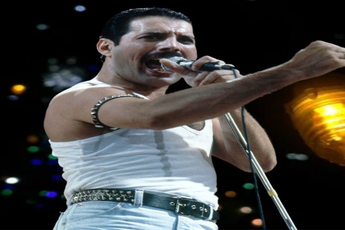 Freddie mercury height