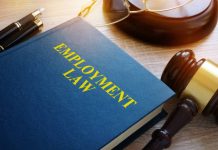 Understanding Employment Law for Employers: Key Insights Employment Law